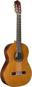 Aparicio AA100 Cedar