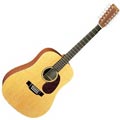 Martin D12X1