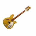 Rickenbacker 360/12