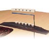 Fishman_AG125 