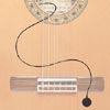 Fishman SBTC