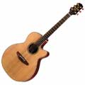 Takamine_EAN40C