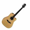 Takamine EGS330SC